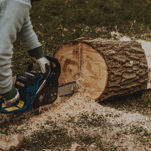 Schneiden der Bäume